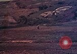 Image of 29th Marine Division Okinawa Ryukyu Islands, 1945, second 38 stock footage video 65675052877