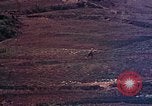 Image of 29th Marine Division Okinawa Ryukyu Islands, 1945, second 45 stock footage video 65675052877