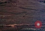 Image of 29th Marine Division Okinawa Ryukyu Islands, 1945, second 47 stock footage video 65675052877