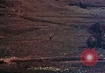 Image of 29th Marine Division Okinawa Ryukyu Islands, 1945, second 48 stock footage video 65675052877
