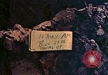 Standbild 29 Marine Division Okinawa Ryukyu Inseln, 1945, aus Sekunde 4 historischem Filmmaterial Videoclip 65675052879