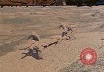 Image of 6th Marine Division Naha Okinawa Ryukyu Islands, 1945, second 1 stock footage video 65675052890