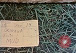 Image of United States Marines Okinawa Ryukyu Islands, 1945, second 1 stock footage video 65675052898