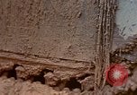 Image of United States Marines Okinawa Ryukyu Islands, 1945, second 56 stock footage video 65675052898