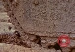 Image of United States Marines Okinawa Ryukyu Islands, 1945, second 59 stock footage video 65675052898