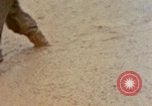 Image of United States Marines Okinawa Ryukyu Islands, 1945, second 21 stock footage video 65675052899