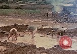 Image of Marines Okinawa Ryukyu Islands, 1945, second 9 stock footage video 65675052901
