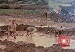 Image of Marines Okinawa Ryukyu Islands, 1945, second 10 stock footage video 65675052901