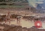 Image of Marines Okinawa Ryukyu Islands, 1945, second 11 stock footage video 65675052901