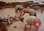 Image of Marines Okinawa Ryukyu Islands, 1945, second 15 stock footage video 65675052901