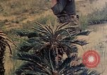 Image of Marines Naha Okinawa Ryukyu Islands, 1945, second 30 stock footage video 65675052905