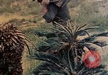 Image of Marines Naha Okinawa Ryukyu Islands, 1945, second 31 stock footage video 65675052905