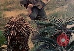 Image of Marines Naha Okinawa Ryukyu Islands, 1945, second 32 stock footage video 65675052905