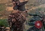 Image of Marines Naha Okinawa Ryukyu Islands, 1945, second 33 stock footage video 65675052905