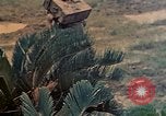 Image of Marines Naha Okinawa Ryukyu Islands, 1945, second 37 stock footage video 65675052905