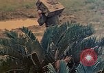 Image of Marines Naha Okinawa Ryukyu Islands, 1945, second 38 stock footage video 65675052905