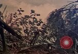 Image of 6th Marines Naha Okinawa Ryukyu Islands, 1945, second 3 stock footage video 65675052906