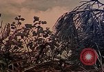 Image of 6th Marines Naha Okinawa Ryukyu Islands, 1945, second 4 stock footage video 65675052906