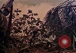 Image of 6th Marines Naha Okinawa Ryukyu Islands, 1945, second 5 stock footage video 65675052906