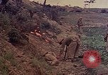 Image of 6th Marines Naha Okinawa Ryukyu Islands, 1945, second 37 stock footage video 65675052908