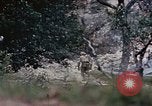 Image of 1st Marine Regiment Naha Okinawa Ryukyu Islands, 1945, second 10 stock footage video 65675052911