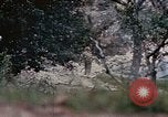 Image of 1st Marine Regiment Naha Okinawa Ryukyu Islands, 1945, second 11 stock footage video 65675052911