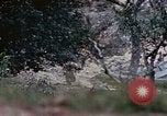 Image of 1st Marine Regiment Naha Okinawa Ryukyu Islands, 1945, second 12 stock footage video 65675052911