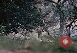 Image of 1st Marine Regiment Naha Okinawa Ryukyu Islands, 1945, second 13 stock footage video 65675052911