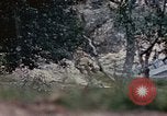 Image of 1st Marine Regiment Naha Okinawa Ryukyu Islands, 1945, second 14 stock footage video 65675052911
