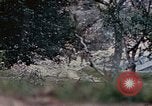 Image of 1st Marine Regiment Naha Okinawa Ryukyu Islands, 1945, second 16 stock footage video 65675052911