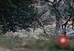 Image of 1st Marine Regiment Naha Okinawa Ryukyu Islands, 1945, second 17 stock footage video 65675052911