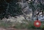 Image of 1st Marine Regiment Naha Okinawa Ryukyu Islands, 1945, second 18 stock footage video 65675052911