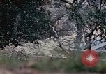 Image of 1st Marine Regiment Naha Okinawa Ryukyu Islands, 1945, second 19 stock footage video 65675052911
