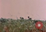 Image of 1st Marine Regiment Naha Okinawa Ryukyu Islands, 1945, second 21 stock footage video 65675052912