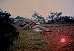 Image of 1st Marine Regiment Naha Okinawa Ryukyu Islands, 1945, second 24 stock footage video 65675052912