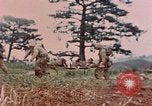 Image of 1st Marine Regiment Naha Okinawa Ryukyu Islands, 1945, second 6 stock footage video 65675052913