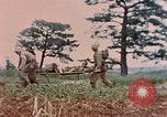 Image of 1st Marine Regiment Naha Okinawa Ryukyu Islands, 1945, second 7 stock footage video 65675052913