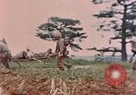 Image of 1st Marine Regiment Naha Okinawa Ryukyu Islands, 1945, second 8 stock footage video 65675052913