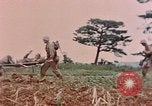 Image of 1st Marine Regiment Naha Okinawa Ryukyu Islands, 1945, second 9 stock footage video 65675052913