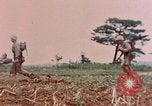 Image of 1st Marine Regiment Naha Okinawa Ryukyu Islands, 1945, second 10 stock footage video 65675052913