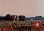 Image of 1st Marine Regiment Naha Okinawa Ryukyu Islands, 1945, second 19 stock footage video 65675052913