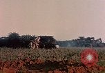 Image of 1st Marine Regiment Naha Okinawa Ryukyu Islands, 1945, second 20 stock footage video 65675052913