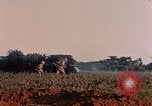 Image of 1st Marine Regiment Naha Okinawa Ryukyu Islands, 1945, second 21 stock footage video 65675052913