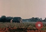 Image of 1st Marine Regiment Naha Okinawa Ryukyu Islands, 1945, second 22 stock footage video 65675052913