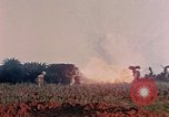 Image of 1st Marine Regiment Naha Okinawa Ryukyu Islands, 1945, second 24 stock footage video 65675052913
