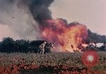 Image of 1st Marine Regiment Naha Okinawa Ryukyu Islands, 1945, second 31 stock footage video 65675052913