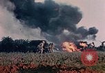 Image of 1st Marine Regiment Naha Okinawa Ryukyu Islands, 1945, second 32 stock footage video 65675052913