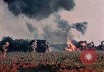 Image of 1st Marine Regiment Naha Okinawa Ryukyu Islands, 1945, second 33 stock footage video 65675052913