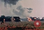 Image of 1st Marine Regiment Naha Okinawa Ryukyu Islands, 1945, second 34 stock footage video 65675052913