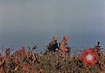 Image of 1st Marine Regiment Naha Okinawa Ryukyu Islands, 1945, second 36 stock footage video 65675052913